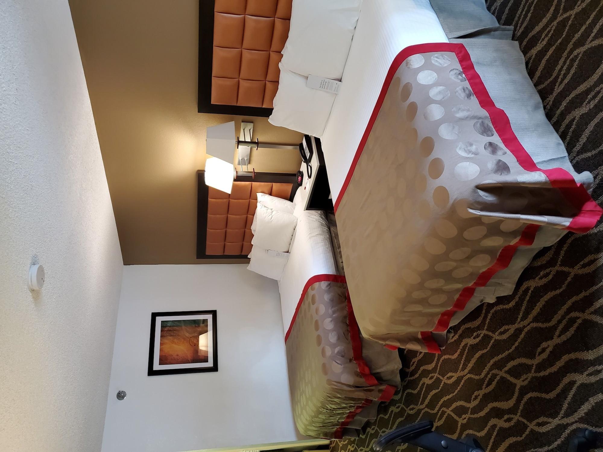 Ramada By Wyndham Temple Terrace/Tampa North Hotel Kültér fotó